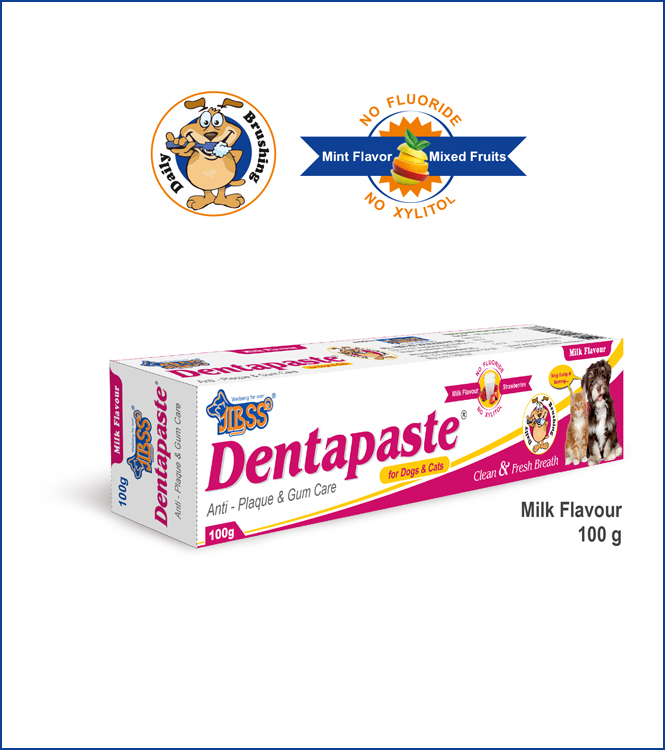 Dentapaste - Milk Flavour