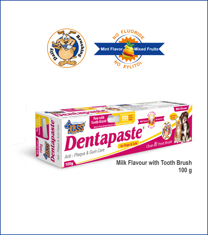 Dentapaste - Milk Flavour - With Brush
