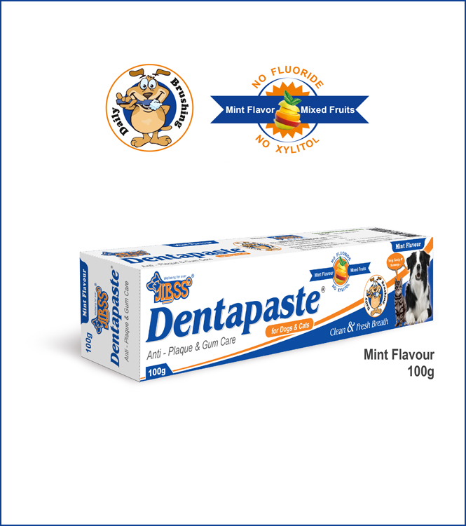 Dentapaste - Mint Flavour