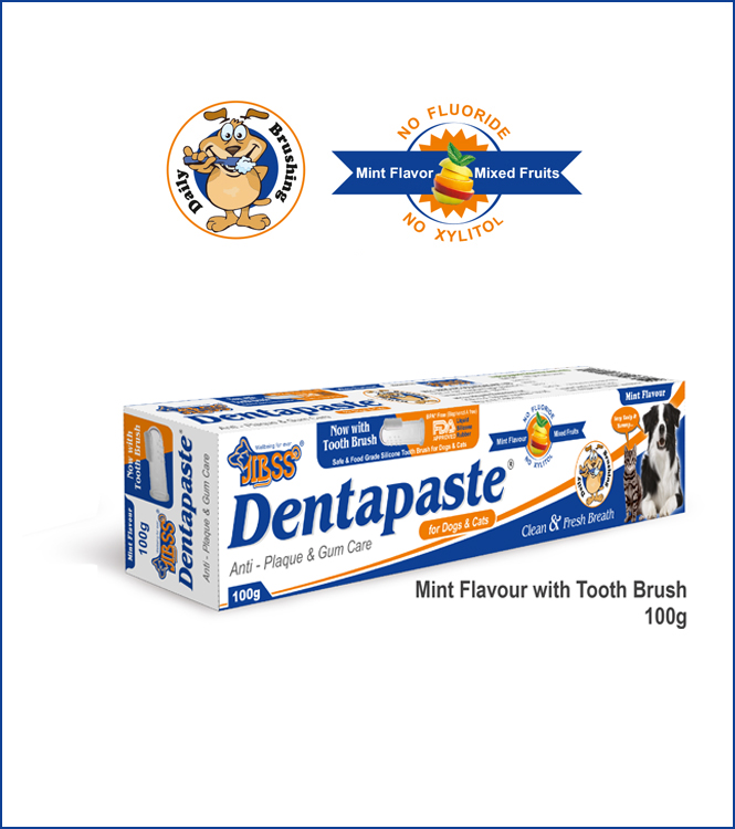 Dentapaste - Mint Flavour - With Brush